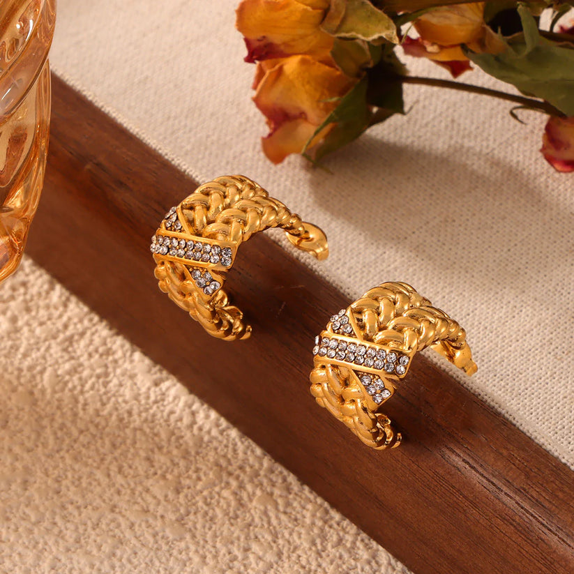 Safari Hoops Earrings Stainless Steel