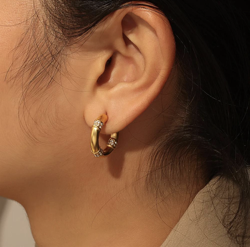 Willow Hoops Earrings Stainless Steel Collection